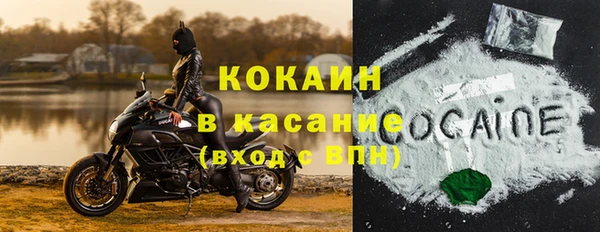 спиды Пересвет