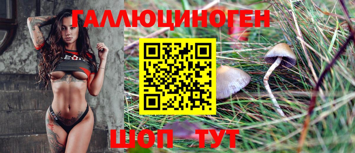 Галлюциногенные грибы GOLDEN TEACHER Серов