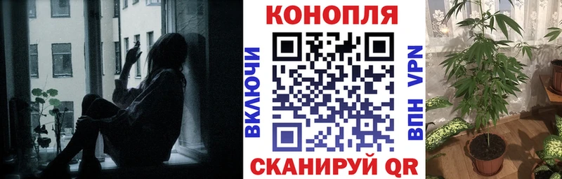 Конопля Ganja  Серов 